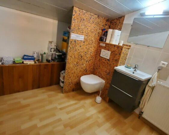 WC local ménage étage volets bleus
